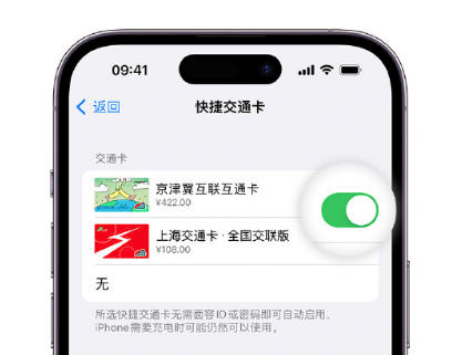 明水apple维修点分享iPhone上更换Apple Pay快捷交通卡手绘卡面 