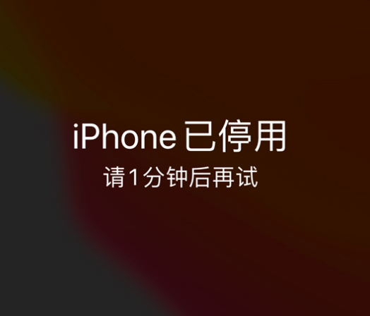 明水苹果手机维修分享:iPhone 显示“不可用”或“已停用”怎么办？还能保留数据吗？ 