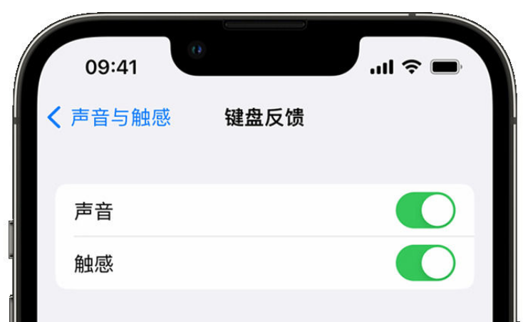 明水苹果手机维修分享iPhone 14触感键盘使用方法 