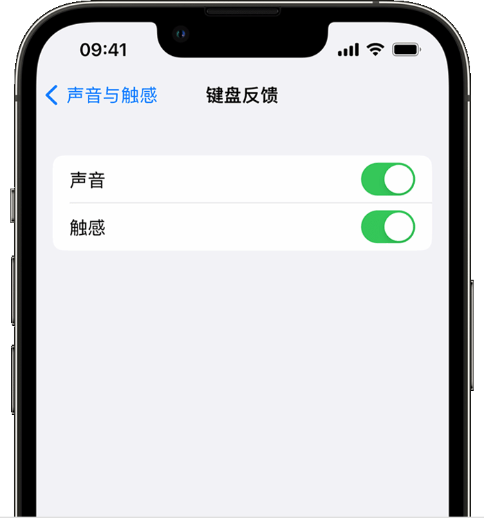 明水苹果14维修店分享如何在 iPhone 14 机型中使用触感键盘 