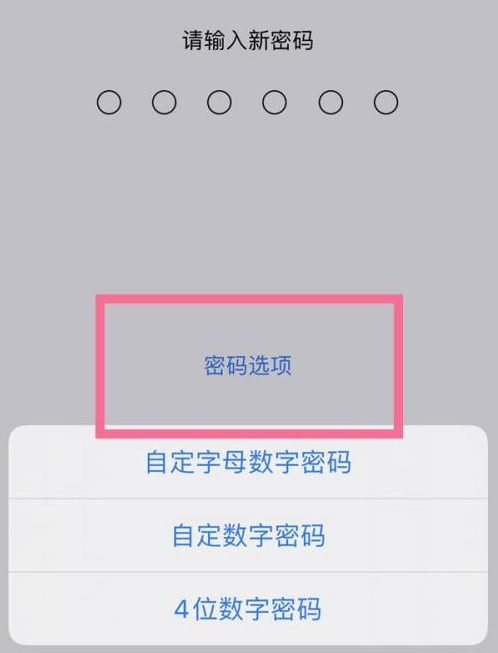 明水苹果14维修分享iPhone 14plus设置密码的方法 