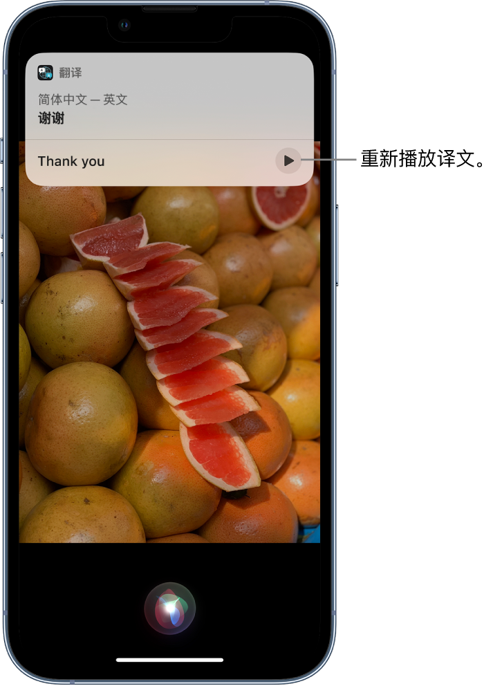 明水苹果14维修分享 iPhone 14 机型中使用 Siri：了解 Siri 能帮你做什么 